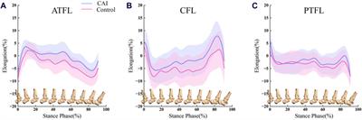 In vivo analysis of ankle joint kinematics and ligament deformation of chronic ankle instability patients during level walking